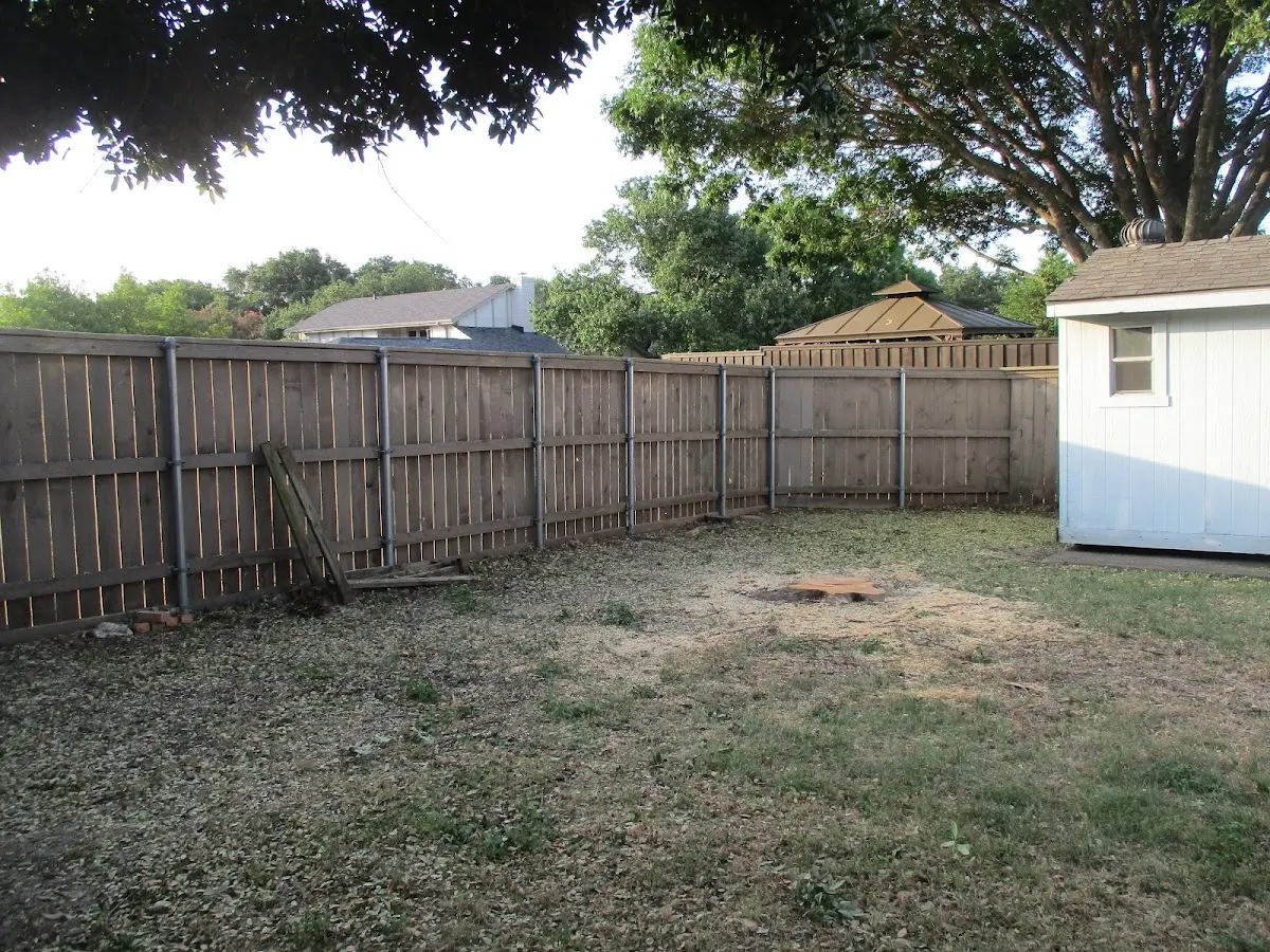 Cleared yard after professional tree removal in Cave City